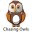 chasingowls.co.uk