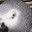 kencanblog.wordpress.com