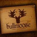 blog.bullmoosetree.com