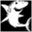 tigersharks.ca