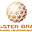 masterbraincenter.com