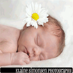 simonsen-family.com