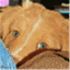 mintoller1.wordpress.com