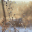 outsideairblog.com