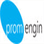 promengin.com