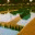 theregblog.wordpress.com