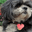 lucys-garden.com