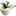 plants-that-heal.blogspot.com