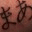 shadowolfhunterdotcom.wordpress.com