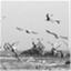 misgaviotas.wordpress.com