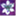 solcam.net