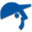 leaninstitute.in