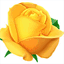 ollraytown.com