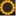 s12.info