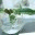 designbridge.wordpress.com