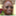 oadinbafut.wordpress.com