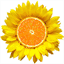 beyondhealthy.us