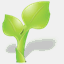 treeswithfruit.com
