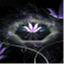 themagicproject.com