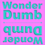 wonderdumb.com