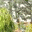 thedirtyblogs.wordpress.com
