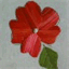 ninez.info
