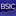 bsic.it