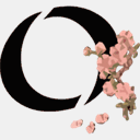 kobayashiseikotsu.com