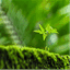 marchengine.com