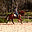 primrosecourt.net