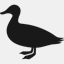 bigducknyc.com
