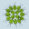 chlorophyte.com