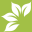 mainstfloragardens.com