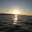 fishinniagara.wordpress.com
