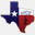 lonestar-ortho.net