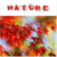 naturemag.wordpress.com