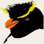 rock-hopper.net