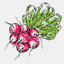 fieldandforknetwork.com