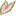 classiccaladiums.com