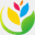 longxiahong.com