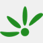 masterseed.de