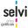 graficasselvi.com