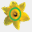 daffodilshotel.com