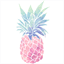 cookiesbazaar.com
