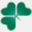 shamrock.dp.ua