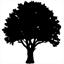 setreeservice.com