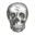 daviddmorse.com