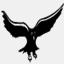 helihawk.co.nz