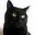 theartphilecat.wordpress.com
