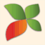 ecomarbelize.org